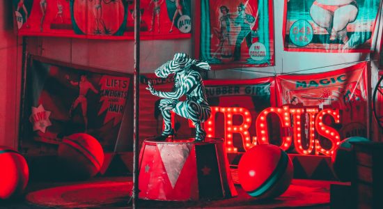 cirque-debutants-ascm-toulouse-joshua-coleman