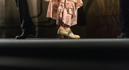 danse-country-novice-ascm-toulouse-dolo-iglesias danse-country-novice-ascm-toulouse-dolo-iglesias