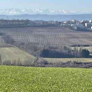 marche-loisir-ascm-4